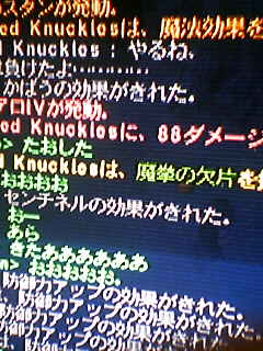 20050209_2.jpg