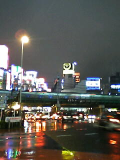 20050219.jpg