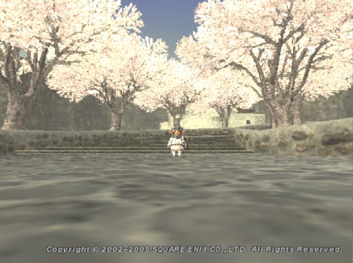 20050306_1.jpg