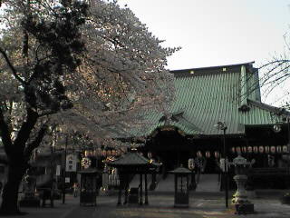 20050409_1.jpg
